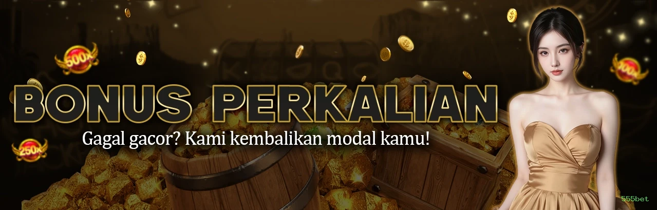 555bet multi dispositivo
